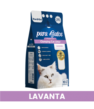 LAVANTA