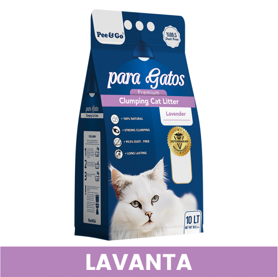 LAVANTA