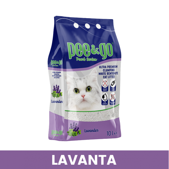 P&G LAVANTA
