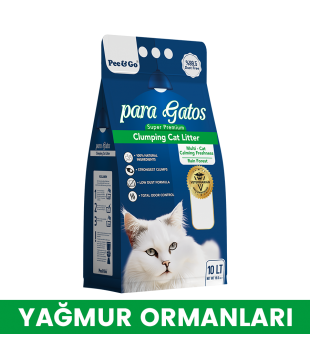 YAĞMUR ORMANI